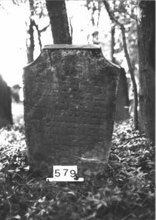 Grabstein 579 (Index: 99900741) Material: Sandstein Zustand: an den Rändern verwittert, sonst gut erhalten Maße HxBxT: 88x57x10 cm Beschreibung: Stele mit Segmentbogenabschluss: Grabstein 579