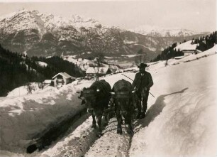Am Vordergraseck bei Garmisch. Ein Bauer führt ein Ochsengespann