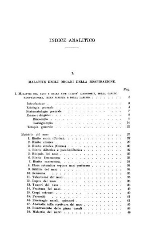 Indice analitico