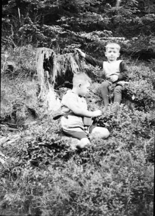 Kinder im Wald