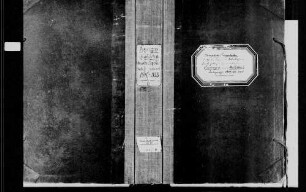 Eppingen, katholische Gemeinde: Standesbuch 1810-1833
