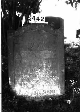 Grabstein 442