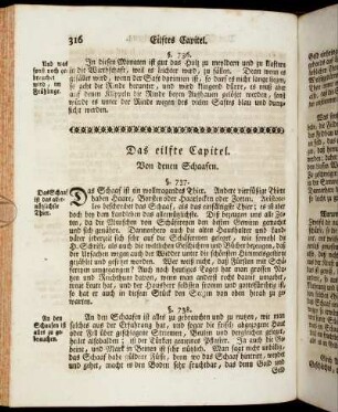 Das eilfte Capitel. Von denen Schaafen.