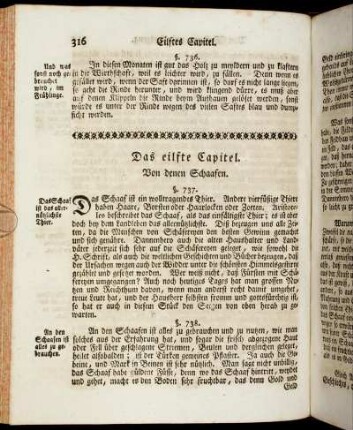 Das eilfte Capitel. Von denen Schaafen.