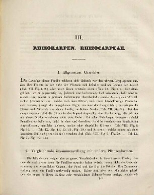 Die kryptogamischen Gewächse mit besonderer Berücksichtigung der Flora Deutschlands und der Schweiz. 2, Die Rhizokarpen und Lycopodeen