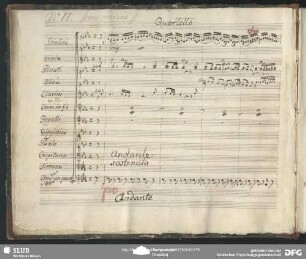 Quartetto: "Se mai Signore nel petto"