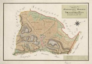 Topographischer Plan über den in der herrschaft Mahlberg liegenden Friesenheimer Bann