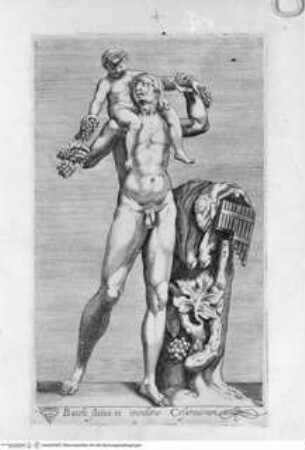 Antiquarum statuarum urbis Romae, quae in publicis privatisque locis visuntur, icones. Romae. Ex typis Laurentii Vaccarii... MDLXXXIIII., Tafel [13]: Bacchi statua in viridario Cesarinorum (nach der Antike)