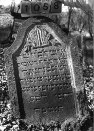 Grabstein 1058 (Index: 99753361) Material: Sandstein Zustand: leicht verwittert Maße HxBxT: 105x62x8 cm Beschreibung: Stele, Konvexbogenabschluß, Schriftfeld eingetieft Symbolik: Muschel, Blätter Besonderheit: Zitat Hiob 1, 8 und 2, 3: Grabstein 1058