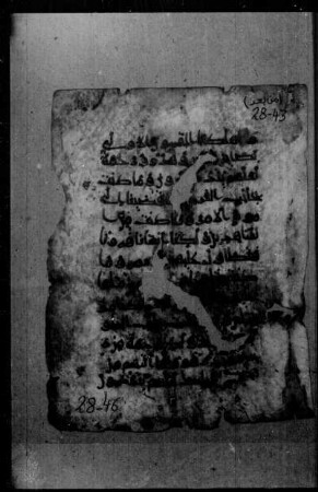 al- Qurʾān [DAM 13-7.2]