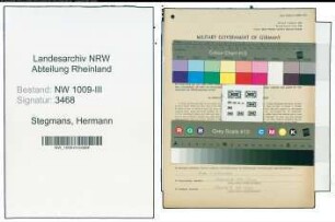 Entnazifizierung Hermann Stegmans , geb. 20.02.1910 (Bankangestellter)