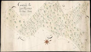 Erster Geometrischer Plan über die Zins Waldungen bey Moos, am Thal und im Loch, Hertinger Banns
