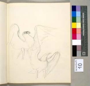 Zwei Adler