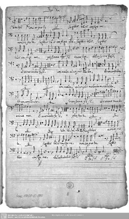 Bass Voc.