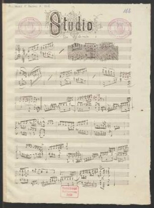 Studies; pf; KinBu 175