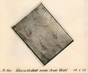 Foto des Geländes nordwestlich des "Bois-Brûle" (Luftbild)