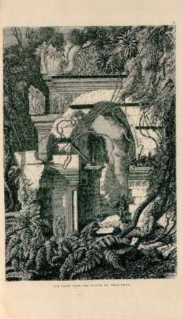 Vue prise dans les ruines de Préa-Khan