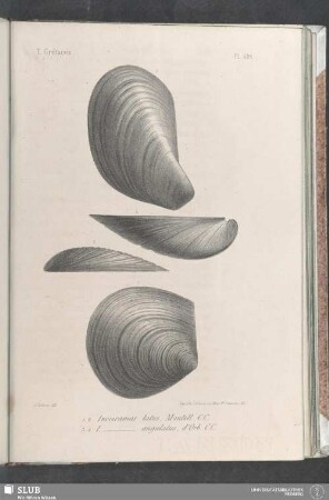 Pl. 408