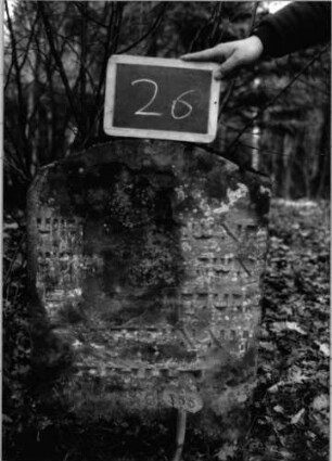 Grabstein 26 (Index: 100090623) Material: Sandstein Zustand: abgeblättert, verwittert mit Textverlust Maße HxBxT: 72x57x9 cm Beschreibung: Stele, flacher Konvexbogenabschluß: Grabstein 26