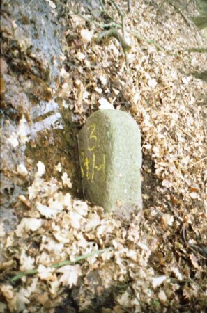 Forst Beimoor / Tiergarten: am Grenzgraben: Grenzstein [Nr. 73] zwischen Stadt Hamburg/Großhansdorf und Gut Ahrensburg