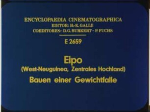 Eipo (West-Neuguinea, Zentrales Hochland) - Bauen einer Gewichtfalle