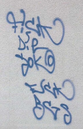 FicK Die SoKo | FucK BGS