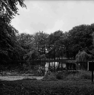 Kurpark: Salzteich: hinten Baumreihe