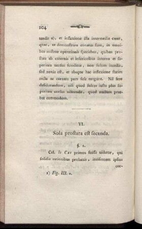 VI. Sola prostata est secanda.