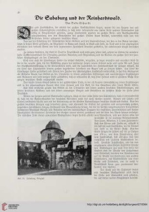 27: Die Sababurg und der Reinhardswald