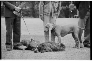 Hegering Trittau: Campeschule: Schulhof: Jäger mit Hunden