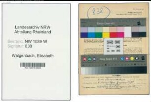 Entnazifizierung Elisabeth Walgenbach , geb. 20.04.1920 (Arzthelferin)