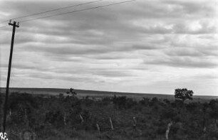 Landschaft : Landschaft im Bundesstaat Mato Grosso.