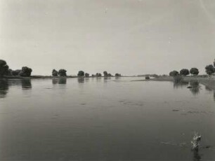 Mittelelbniederung bei Klöden (Kreis Jessen). Blick auf die Elbe flußab nach Nordwesten
