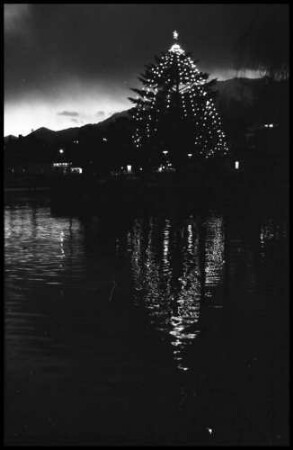 Muralto Locarno: beleuchteter Weihnachtsbaum am Abend