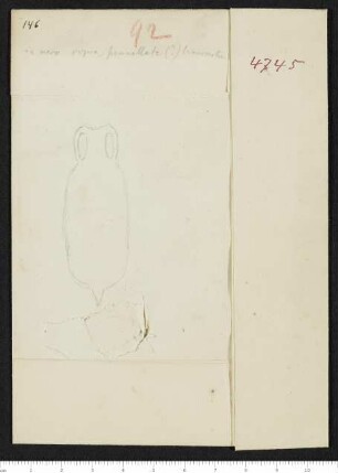 CIL XV 4745, Schede