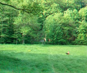 Wasserläufe Freiberg: Rothschönberger Stolln, Hauptmundloch