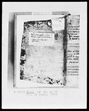 Epiphanius latinus; Alcuinus — Frontdeckel