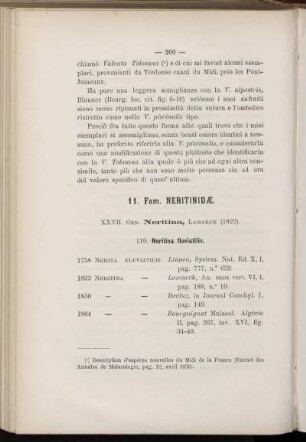 11. Fam. Neritinidæ.