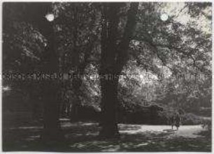 Hamburg, Hirschpark, Herbst