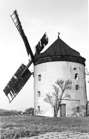 Hochkirch-Rodewitz. Erdholländer