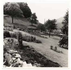 Garten Suidter, Luzern: Garten am Hang