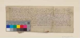Die Gebrüdern Werner und Hans von Uchtenhagen zu Freienwalde und Neuenhagen belehnen die Stadt Bad Freienwalde mit der von den von Pfuel erkauften halben Dorfstelle Torgelow (Torgow), (vgl. Urkunde von 1477 März 2).
