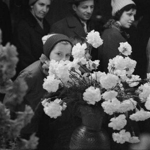 Dresden. Gartenausstellung. Besucher betrachten eine Ausstellungsfläche mit Nelken