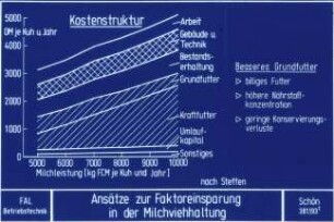 Ansätze zur Faktoreinsparung in der Milchviehhaltung (nach Steffen)