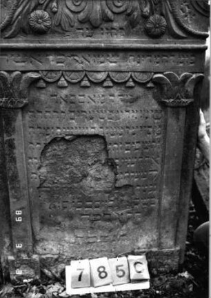Grabstein 785 (Index: 99751545) Material: Sandstein Zustand: abgeblättert mit Textverlust Maße HxBxT: 153x81x10 cm Beschreibung: ädikulaart. St. m. Pilastern, geschwungen eingezog. Rundbogenabschl. , rechteck. Schrift Symbolik: Blumen, Ranken, Vorhang mit Troddeln, Voluten: Grabstein 785C