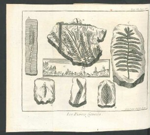 Tafel: Les Pierres figurées.
