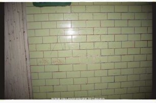 "MOSt" "KoSt"