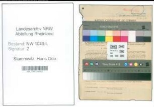 Entnazifizierung Hans Odo Stammwitz , geb. 23.09.1906 (Rechtsanwalt)