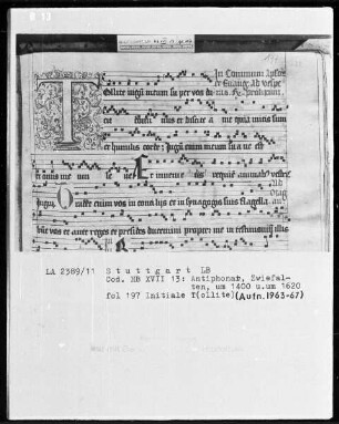 Antiphonarium — Initiale T (ollite), Folio 197 rechto