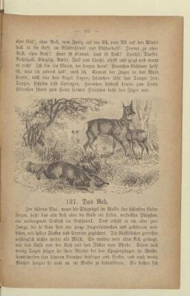 IV. Herbst